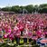 18. Race For Life Cwmbran 18
