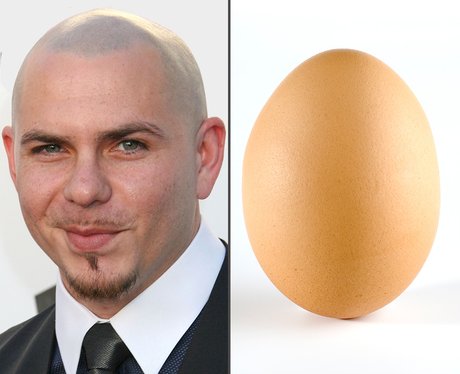 Pitbull's Boiled Egg Barnet - Candy Floss To A Humbug - 9 Pop Star
